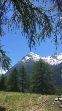 Haus Valaisia - Randa Bei Zermatt Apartamento Exterior foto